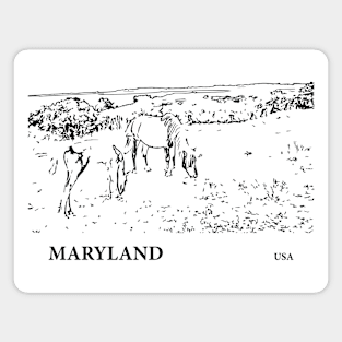 Maryland USA Magnet